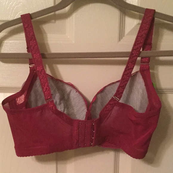 Bra - Picture 3 of 5